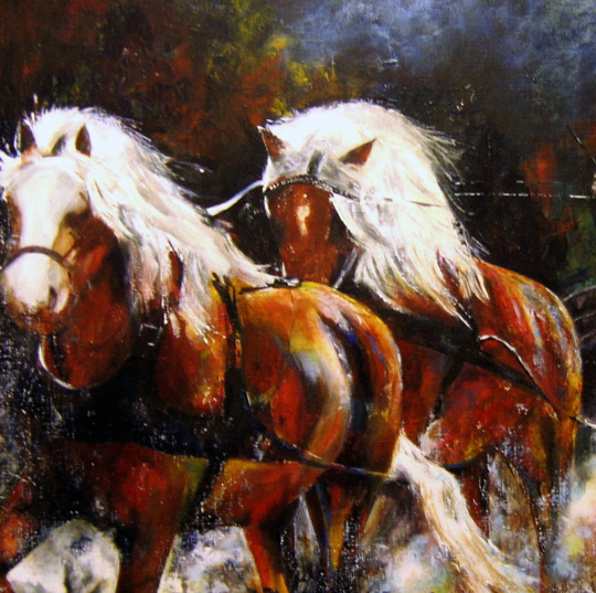 haflingers vb haflingers vb
